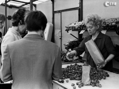 Elbląski handel w czasach PRL na zdjęciach Czesława Misiuka