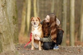 Galeria pod psem i kotem (Odc.82)