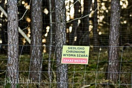 Co słychać na przekopie