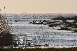 Co słychać na przekopie