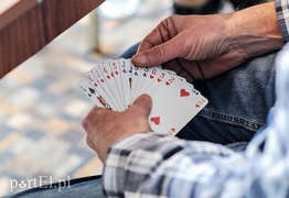 Elbląska stolica brydża