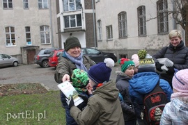 Wielkie liczenie ptaków