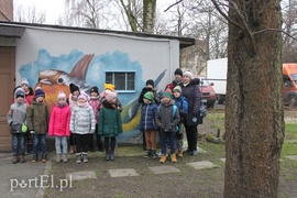Wielkie liczenie ptaków