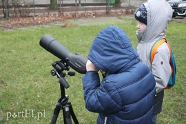 Wielkie liczenie ptaków