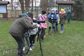 Wielkie liczenie ptaków