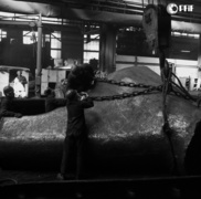 Zamech na zdjęciach Czesława Misiuka: część 2