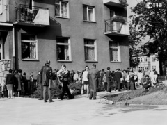 Elblążanie w latach 70. na zdjęciach Czesława Misiuka