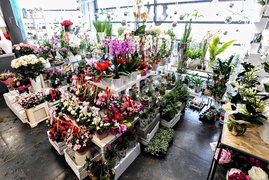 8 marca z Kwiaciarnią Romantyczną