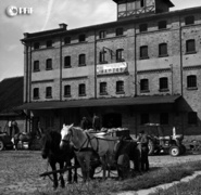 Elbląg z lat 70. i 80. na zdjęciach Czesława Misiuka