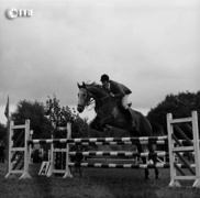 Sportowy Elbląg z lat 70. na zdjęciach Czesława Misiuka