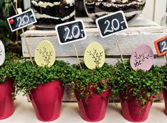 Zostań w domu, ale ciesz się wiosną z Kwiaciarnią Romantyczna