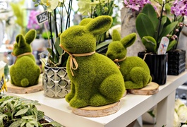 Zostań w domu, ale ciesz się wiosną z Kwiaciarnią Romantyczna