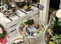 Zostań w domu, ale ciesz się wiosną z Kwiaciarnią Romantyczna