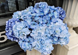 Zostań w domu, ale ciesz się wiosną z Kwiaciarnią Romantyczna