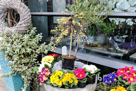 Zostań w domu, ale ciesz się wiosną z Kwiaciarnią Romantyczna