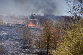 Pożar traw pod cmentarzem Dębica