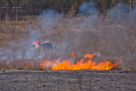 Pożar traw pod cmentarzem Dębica