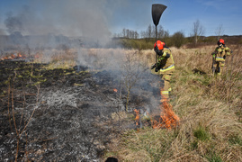 Pożar traw pod cmentarzem Dębica