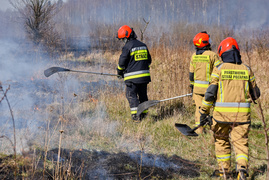 Pożar traw pod cmentarzem Dębica