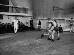 Elbląski sport z lat 70. na zdjęciach Czesława Misiuka: Zapasy