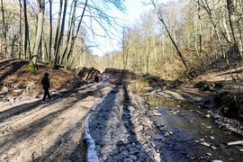 Lasy otwarte, ale bardzo suche