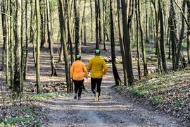 Lasy otwarte, ale bardzo suche