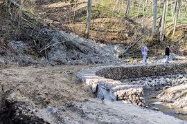 Lasy otwarte, ale bardzo suche