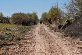 Czytelnik: Boję się, że nie będę miał jak dojechać do domu