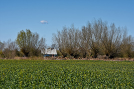 Czytelnik: Boję się, że nie będę miał jak dojechać do domu