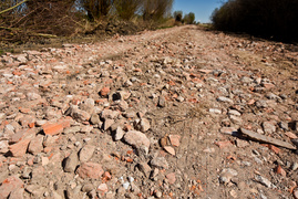 Czytelnik: Boję się, że nie będę miał jak dojechać do domu