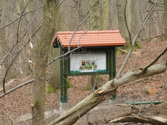 Spacerem po Parku Krajobrazowym Wysoczyzny Elbląskiej