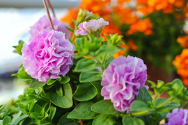 Pokaż mamie, że jest dla ciebie ważna