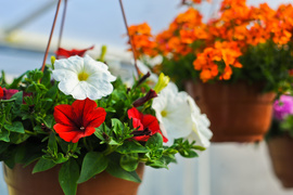 Pokaż mamie, że jest dla ciebie ważna