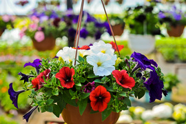 Pokaż mamie, że jest dla ciebie ważna