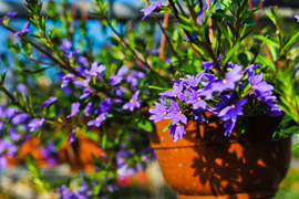 Pokaż mamie, że jest dla ciebie ważna