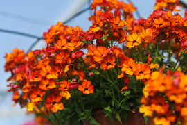 Pokaż mamie, że jest dla ciebie ważna