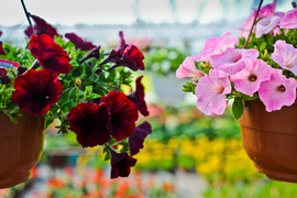 Pokaż mamie, że jest dla ciebie ważna