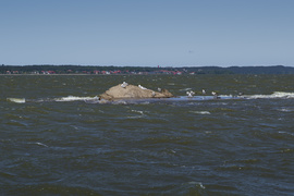 Co nowego na przekopie Mierzei