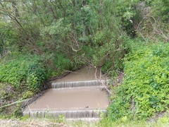 Na rower z portEl.pl : Na Goplanicę  (odc. 2) 