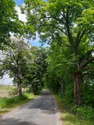 Na rower z portEl.pl : Łęcze przez Pagórki  (odc. 4) 