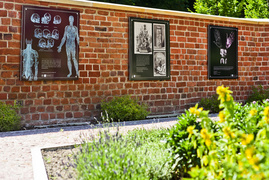 Medyczna wystawa na świeżym powietrzu