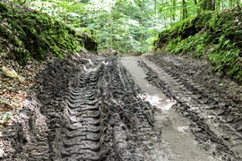 Umacniają brzegi Srebrnego Potoku. Ekolodzy: To jest niszczenie tej rzeki