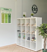 Zdrowie ukryte w konopiach