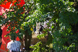 Wypadek na drodze 503. Jedna osoba nie żyje