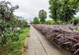 Fromborska doczeka się ronda