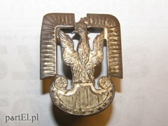 Orzeł stanowiący część dystynkcji lotnika polskiego pochodzący z czasu Powstania Warszawskiego. Orzeł wykonany jest prymitywną metodą przez wytłoczenie z cienkiej blachy stalowej. Ten znak dystynkcji żołnierza lotnictwa Ojciec otrzymał w sztabie swojej jednostki, jednak nigdy go nie używał. Na czarnym berecie nosił naszyty znak godła polskiego w postaci orła wyhaftowanego srebrną nitką na kawałku czarnej tkaniny, który naszyty był na tkaninie beretu, a obok, również wyhaftowane, znaki dystynkcji oficerskich.