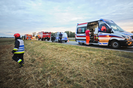 Dachowanie i kolizja w Nowym Dworze Elbląskim