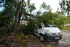 Wichura powaliła drzewo na nissana