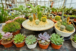 Przygotuj swój ogród na jesień