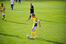 Charytatywnie dla Erwiny